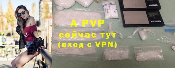 дживик Богданович