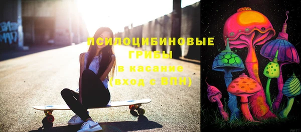 дживик Богданович