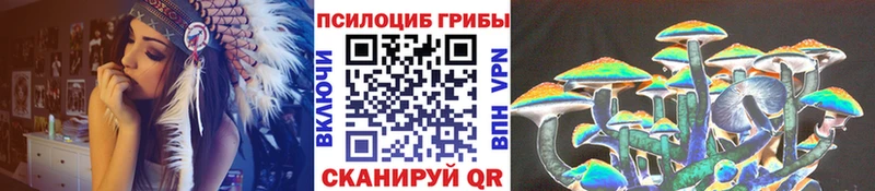 Купить закладки  Рыбное  Галлюциногенные грибы MAGIC MUSHROOMS 